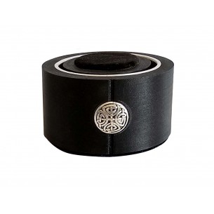 Pann Audio Daedale II