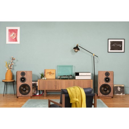 Revival Audio Atalante 5