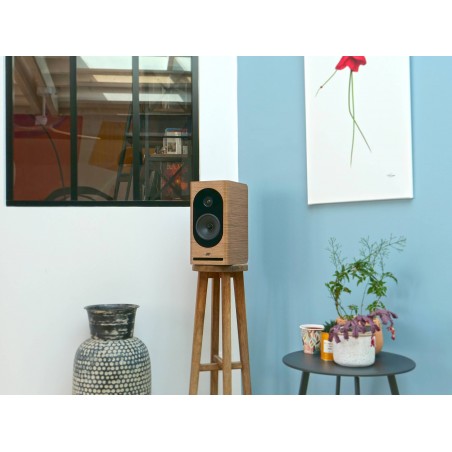 Jean-Marie Reynaud Lucia MKII