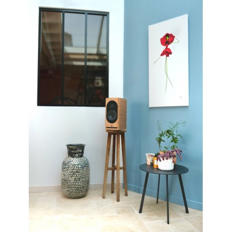 Jean-Marie Reynaud Lucia MKII