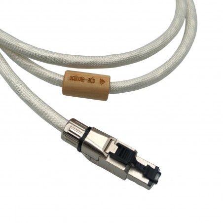 Actinote Aria Ethernet