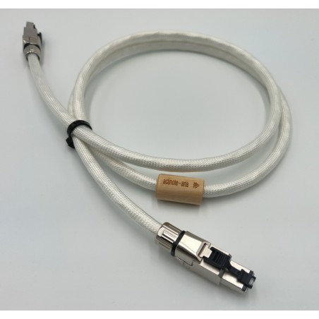 Actinote Aria Ethernet