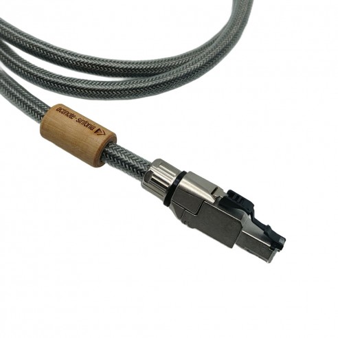 Actinote Sinfonia Ethernet