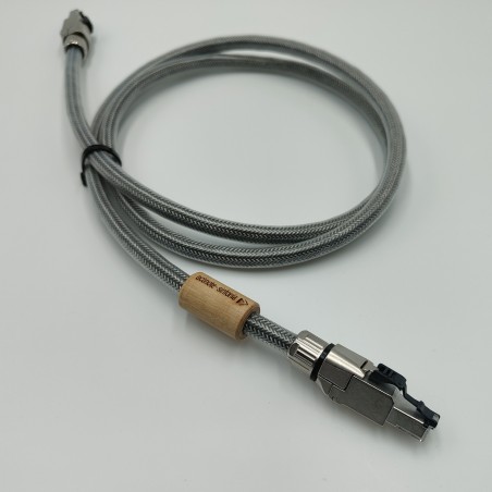 Actinote Sinfonia Ethernet