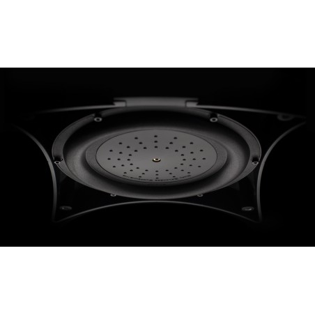 Waterfall Audio Iguasçu XT radiateur passif