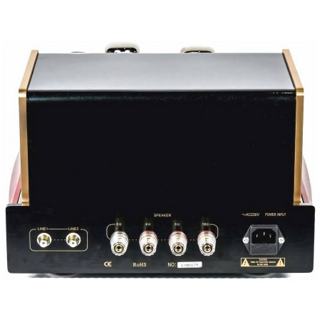 Pier Audio MS-888 SE