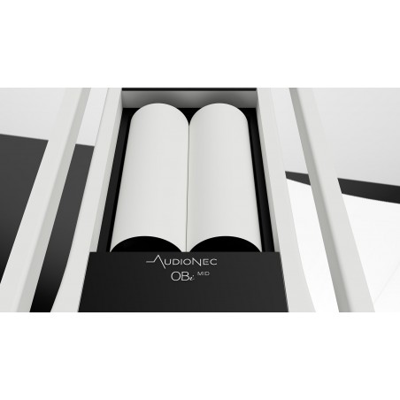 AudioNec OBi Mid DuoPole 31