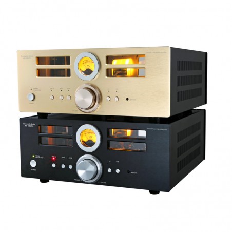Pier Audio MS-2000 T03 gold et noir