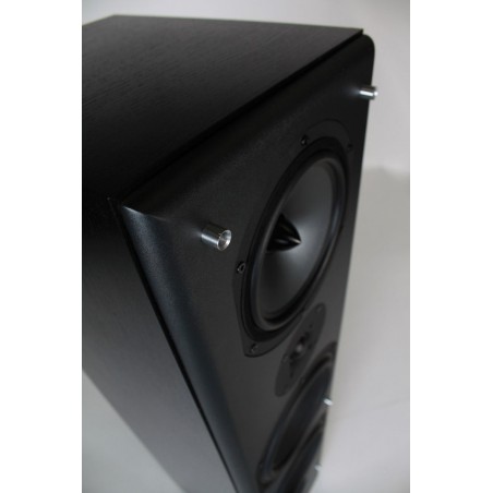 Enceinte colonne Elipson Prestige 4i