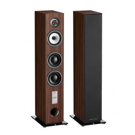 Enceinte colonne Triangle Gaia EZ