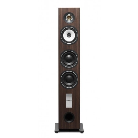 Enceinte colonne Triangle Gaia EZ