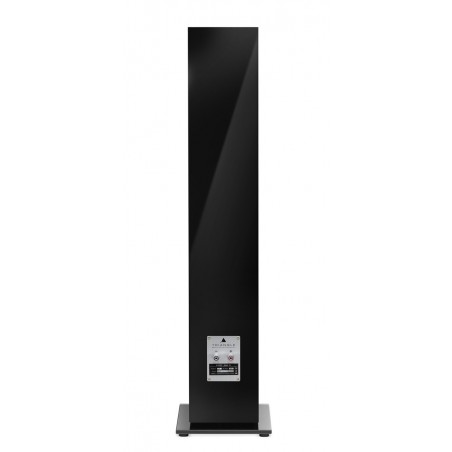 Enceinte colonne Triangle Gaia EZ