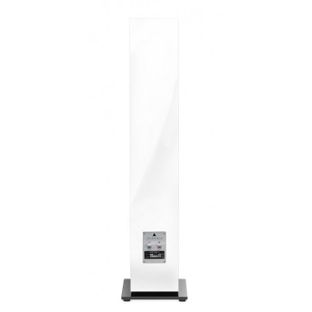 Enceinte colonne Triangle Gaia EZ