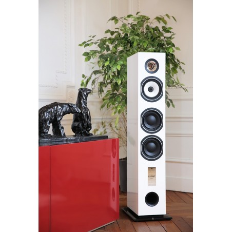 Enceinte colonne Triangle Gaia EZ