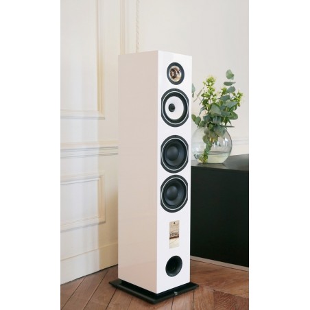 Enceinte colonne Triangle Gaia EZ