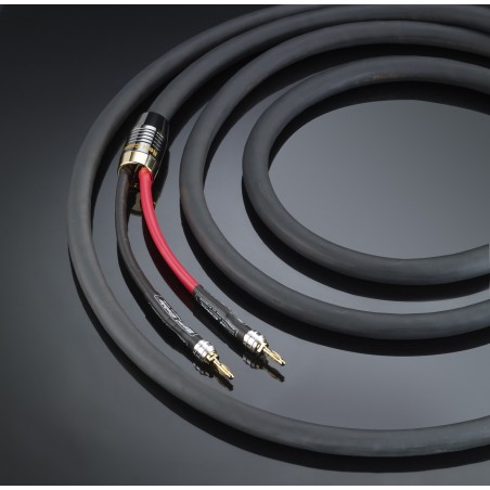 Câble HP monté Real Cable Chambord SP