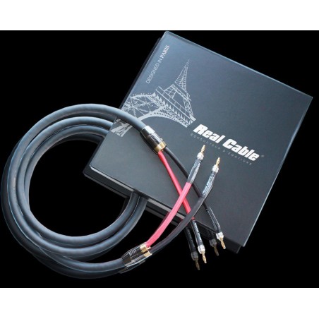 Câble HP monté Real Cable Chambord SP