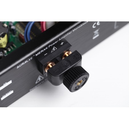 Auralic Merak bornier