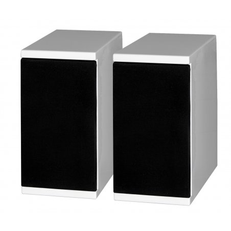 Tevica T300 enceintes arrières