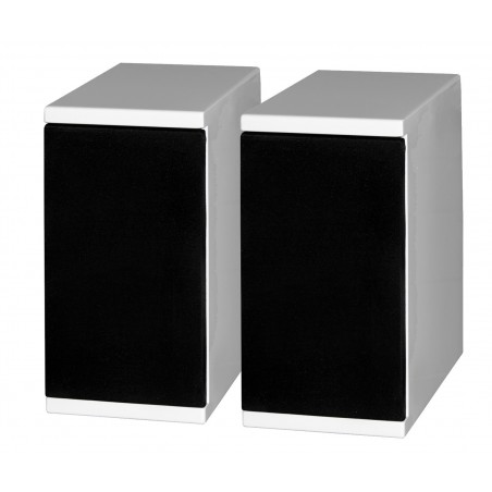 Tevica T500 enceintes arrières