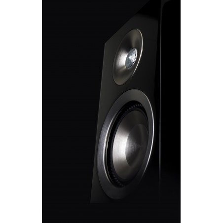 Paradigm Prestige 15B