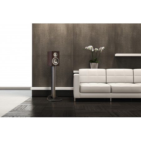 Paradigm Prestige 15B illustration