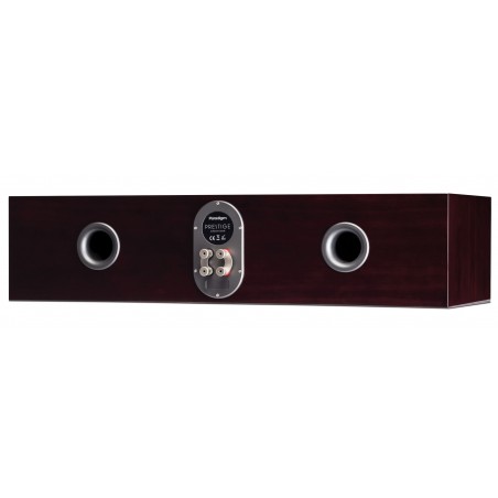 Paradigm Prestige 55C arrière