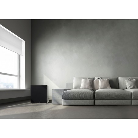 Paradigm Prestige 2000SW salon