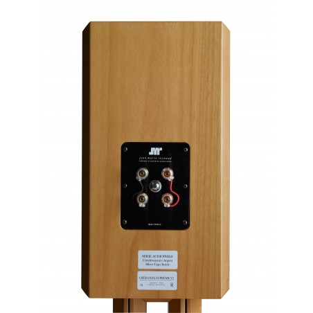 Jean-Marie Reynaud Offrande Suprême V2 arrière