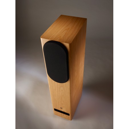 Jean-Marie Reynaud Euterpe Suprême avec cache