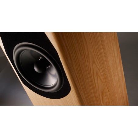 Jean-Marie Reynaud Euterpe Suprême haut-parleur