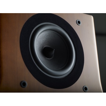 Jean-Marie Reynaud Concorde Suprême haut-parleur