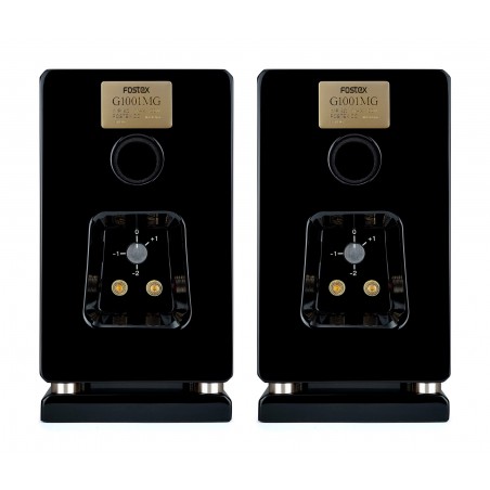 Fostex G1001MG arrière