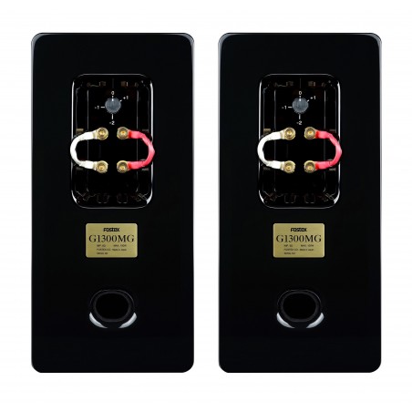 Fostex G1300MG arrière