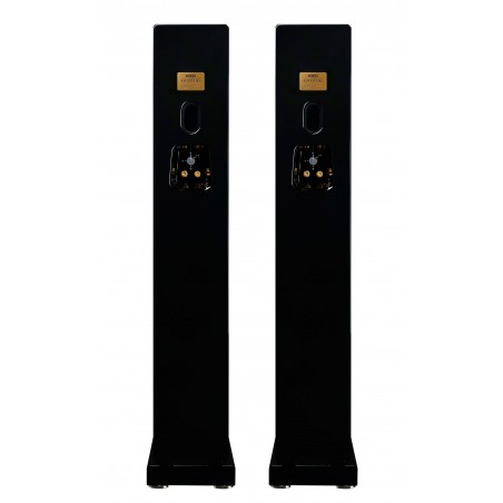 Fostex G1003MG arrière