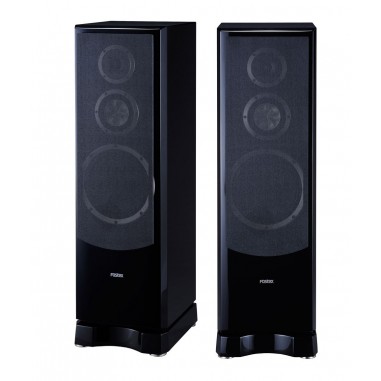 Fostex GX250MG avec cache