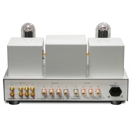 Line Magnetic LM-518IA gold arrière