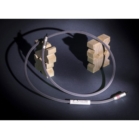 Absolue Créations ES-TIM Digital RCA