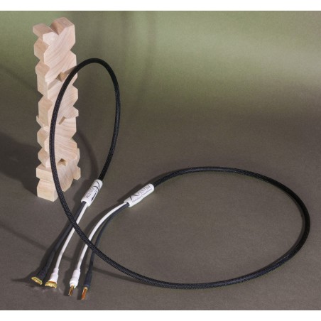 Absolue Créations ES-TIM Haut-Parleur