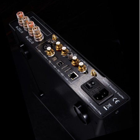 Auralic Polaris connectiques