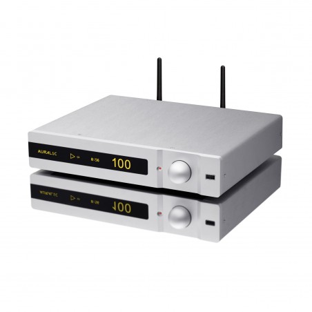 Auralic Polaris silver vue de côté