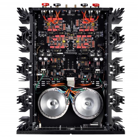 Audio Analogue Maestro Anniversary vue interne