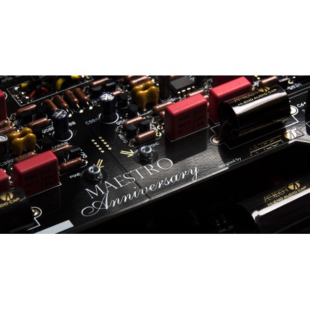 Audio Analogue Maestro Anniversary carte mère