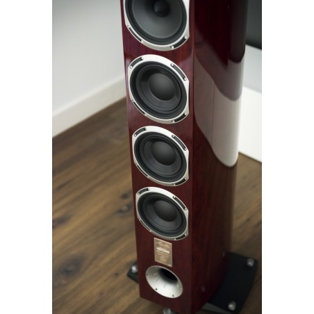 Triangle Magellan Quatuor