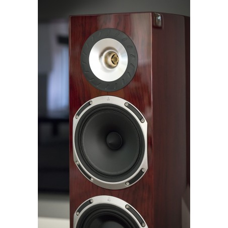 Triangle Magellan Quatuor