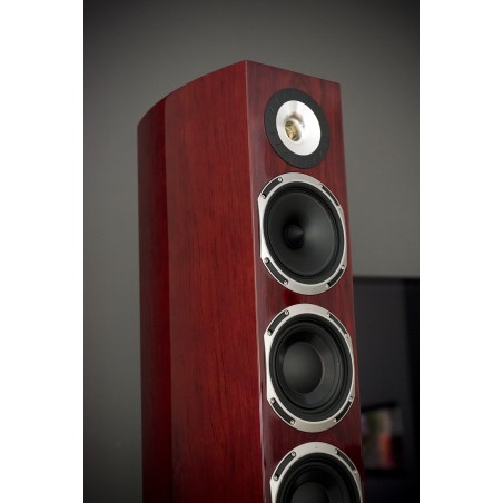 Triangle Magellan Quatuor