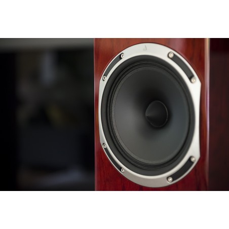 Triangle Magellan Quatuor