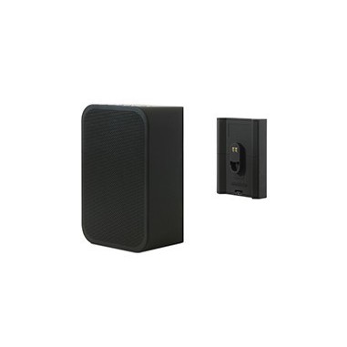 Bluesound BP100 Batterie