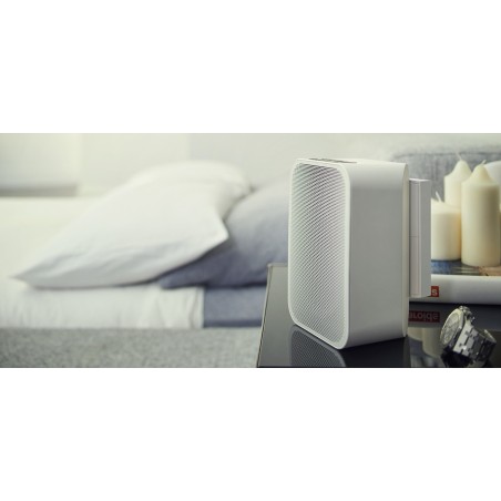 Bluesound BP100 Batterie