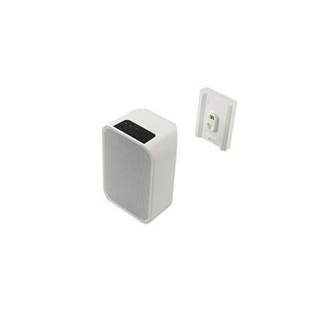 Bluesound BP100 Batterie